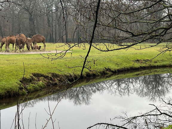 24-12-06 14-18-38 1642